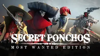 Secret Ponchos