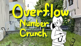 Overflow: Number Crunch