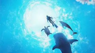 Endless Ocean Luminous - Switch