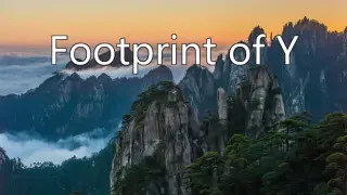 Footprint of Y