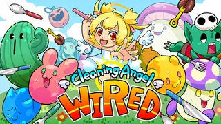 Cleaning Angel Wired