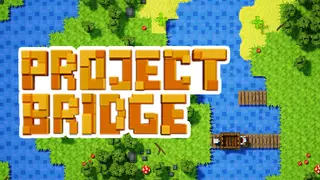 Project Bridge