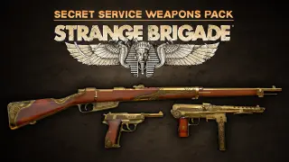 Secret Service Weapons Pack - Switch