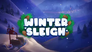 Winter Sleigh