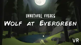 Wolf At Evergreen