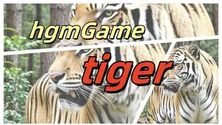 hgmGame-tiger