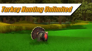 Turkey Hunting Unlimited
