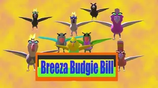 Breeza Budgie Bill