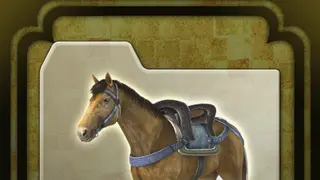 SAMURAI WARRIORS 4 Horse Set - PS4