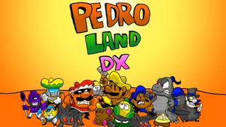 Pedro Land DX