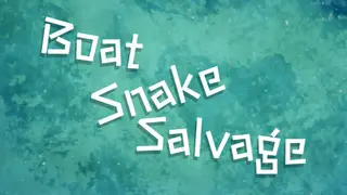Boat, Snake & Salvage