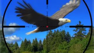 Wild American Hunt - Xbox One