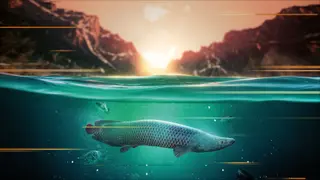 The Catch: Carp & Coarse Deluxe Edition (PS4)