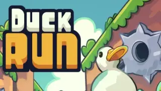 Duck Run - Switch