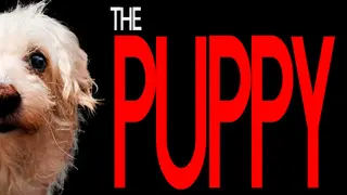 The Puppy