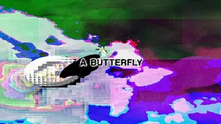 A Butterfly