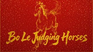 Bo Le Judging Horses