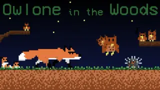 Owlone in the Woods