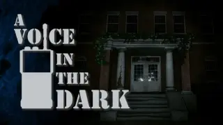 A Voice In The Dark