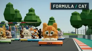 Formula Cat