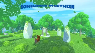 Somewhere in between