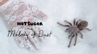 Hot Sugar Presents The Melody of Dust