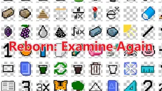ιηδΉεζι«θ Reborn: Examine Again