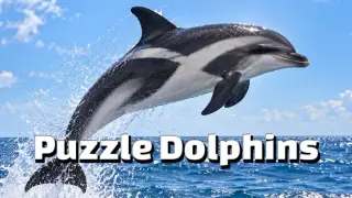 Puzzle Dolphins