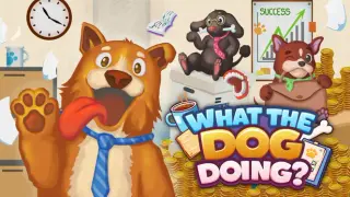 What The Dog Doing?