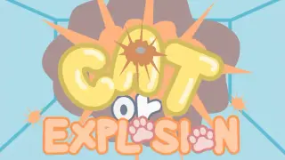Cat Or Explosion
