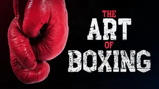 Art of Boxing