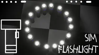 Flashlight Sim