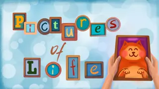 Pictures of Life