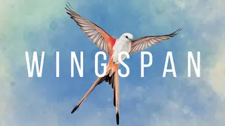 Wingspan