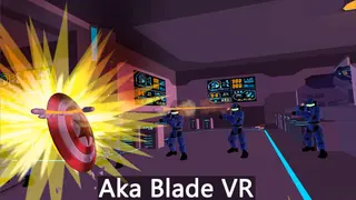 Aka Ninja VR