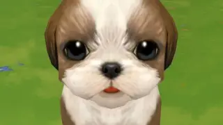 Garden of Pets - Switch