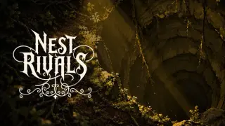 Nest Rivals
