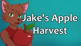 Jake's Apple Harvest
