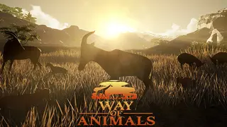 Way Of Animals