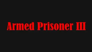 Armed Prisoner III