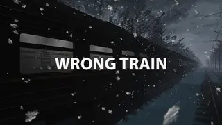 Wrong train