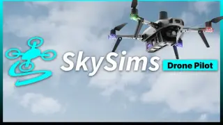 SkySims: Drone Pilot