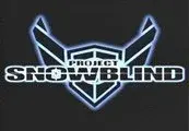 Project: Snowblind