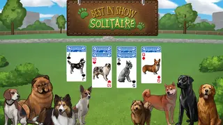 Best in Show Solitaire
