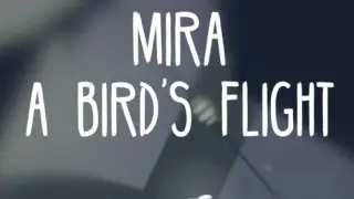Mira : A Bird's Flight - Switch