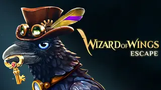 Wizard of Wings: Escape