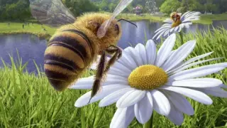 Bee Simulator - Switch