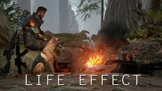 LIFE EFFECT