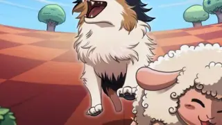 Collie Call - Switch