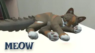 Meow